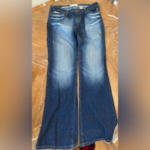 Baby Phat Blue Jeans